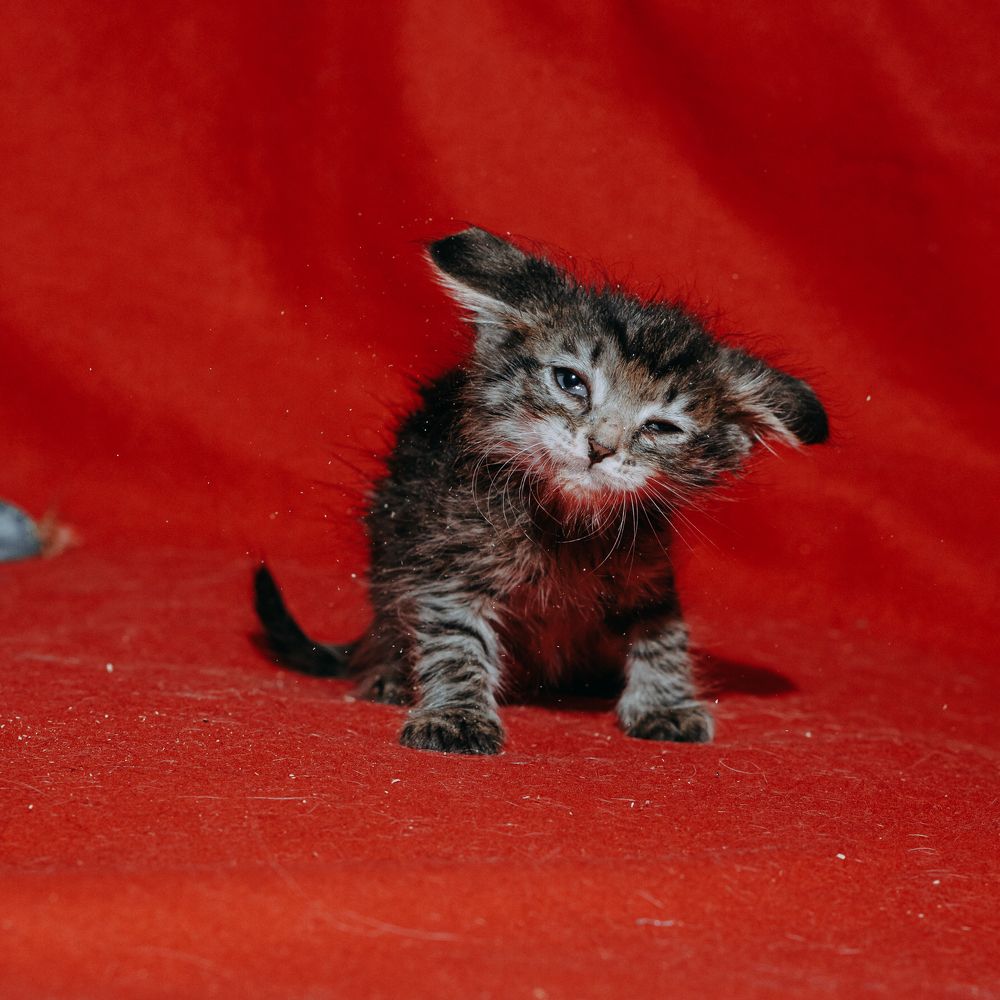 Photograph by Елена Леонидовна