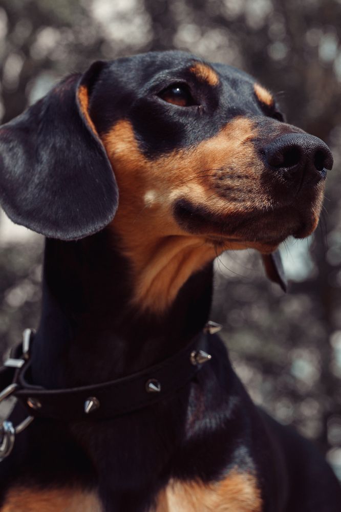 Photograph by Елена Леонидовна