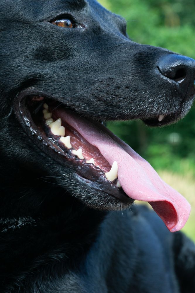 Photograph by Елена Леонидовна