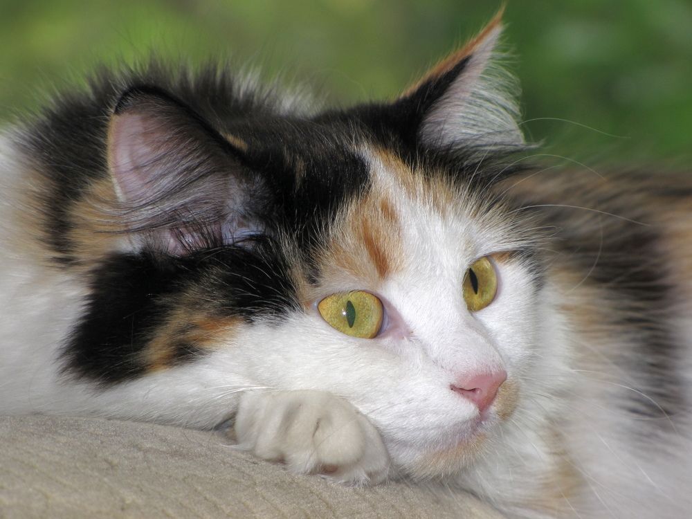 Photograph by Герасимов Игорь