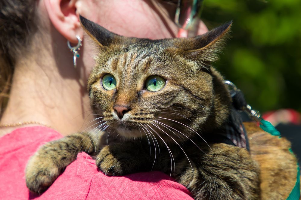 Photograph by Владимир Говоров
