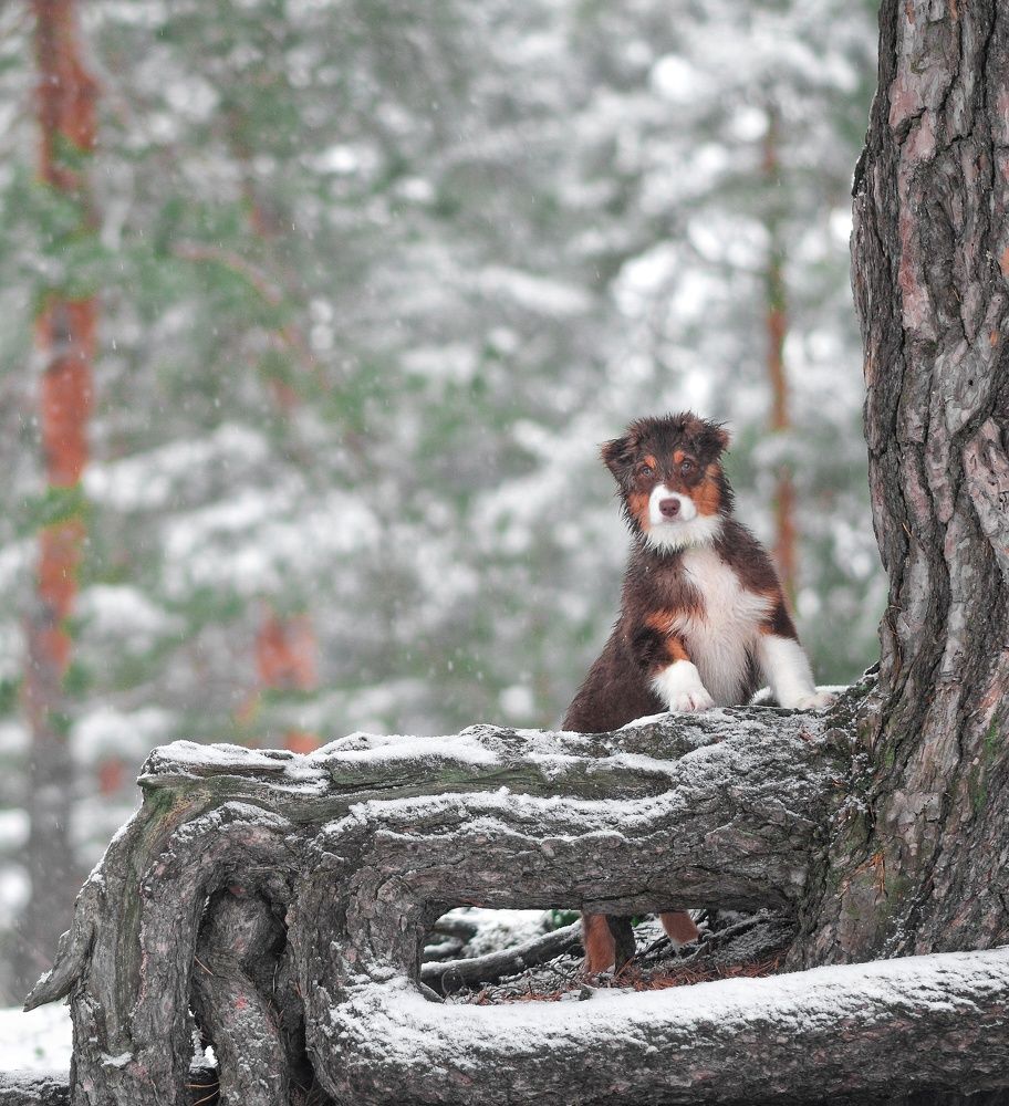 Фотография автора Мария Климова
