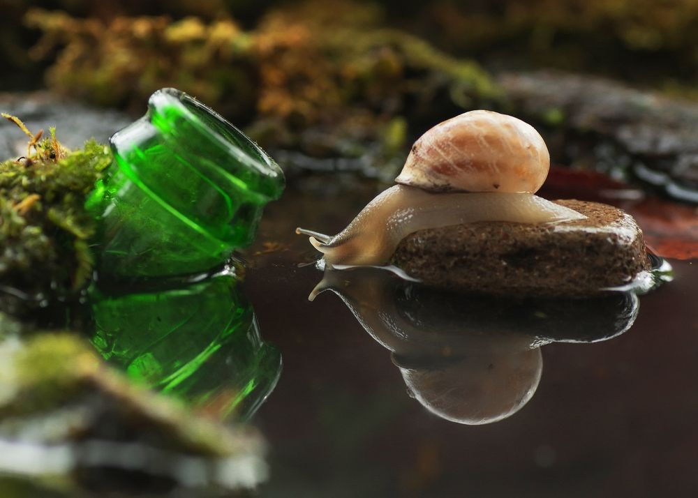 Photograph by Savas Sener