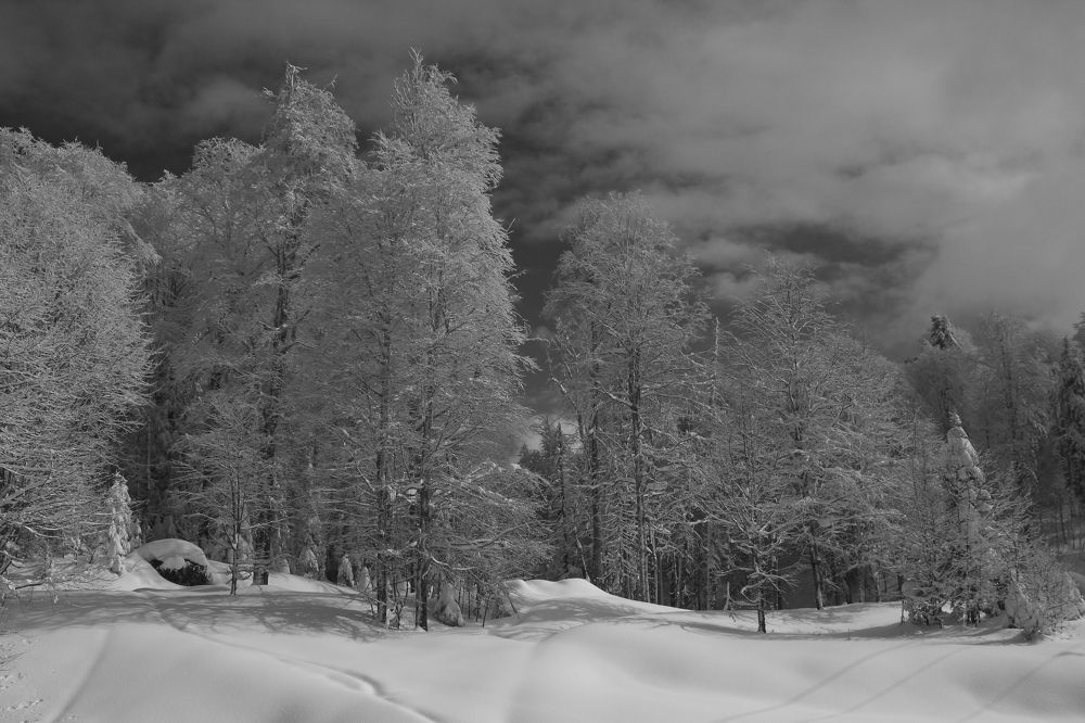 Фотография автора Татьяна Сергиенко