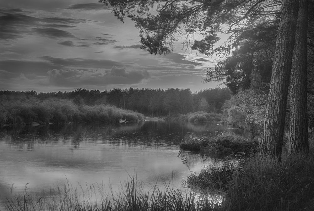 Photograph by Дмитрий Черепков