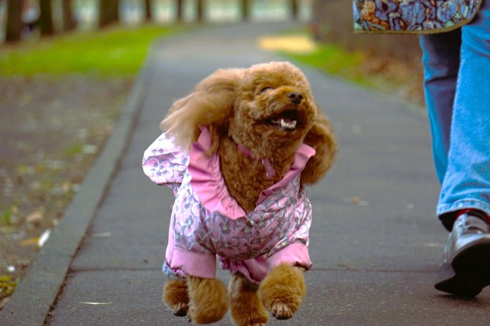 Photograph by Алфия Бугакова