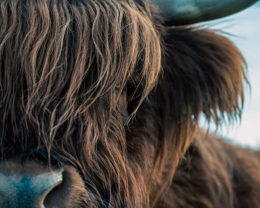 Photograph by Irina Tischer