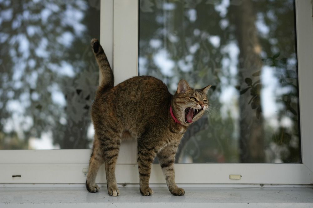 Photograph by Ольга Иванова