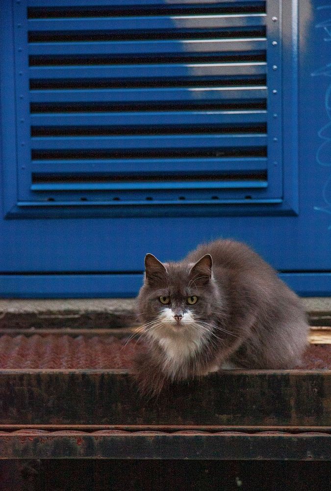 Photograph by Людмила Воробьева