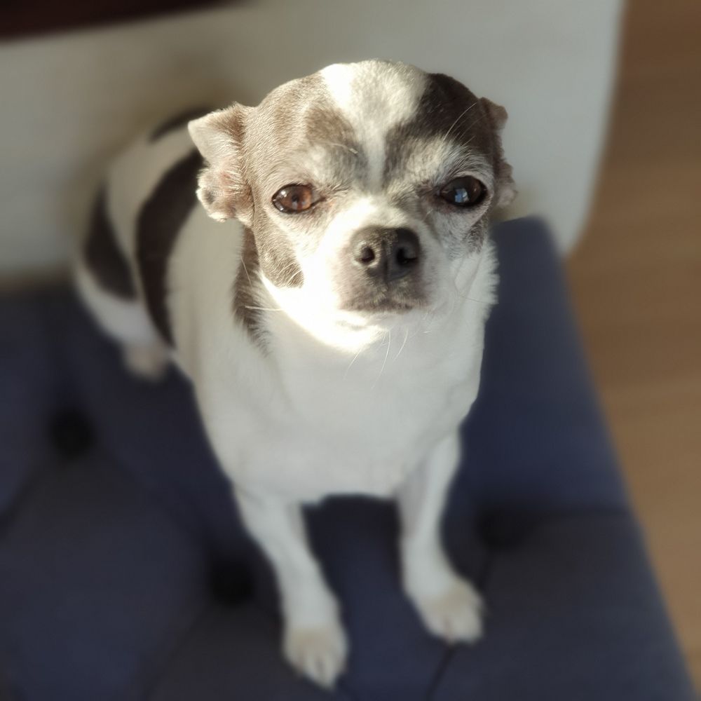 Photograph by Галина Левина