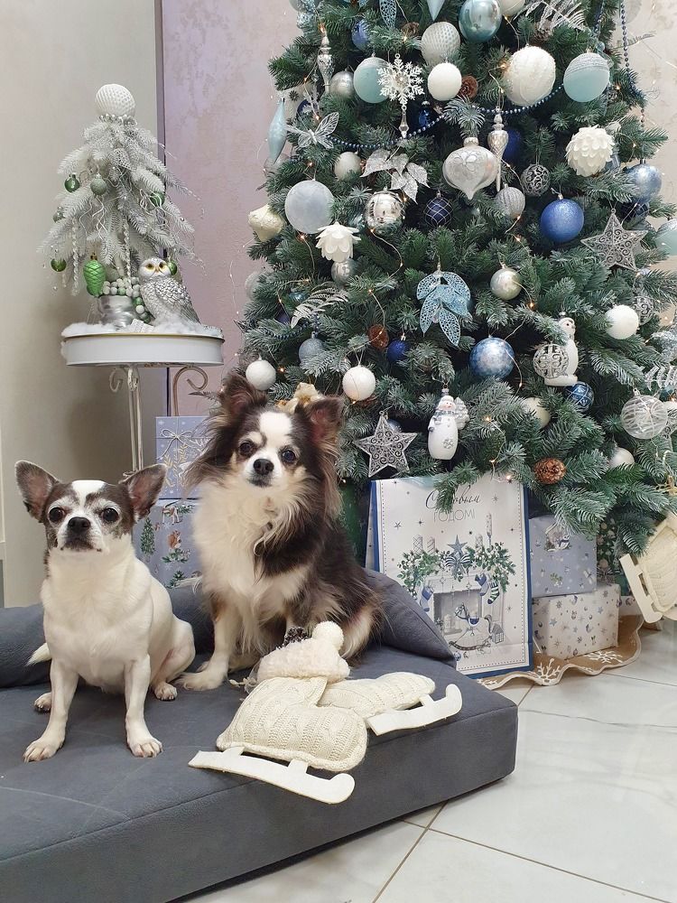 Photograph by Галина Левина