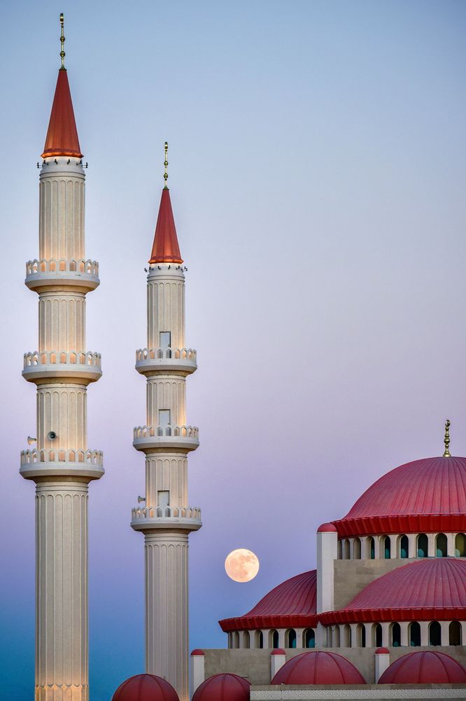 Photograph by Ahmed rezk