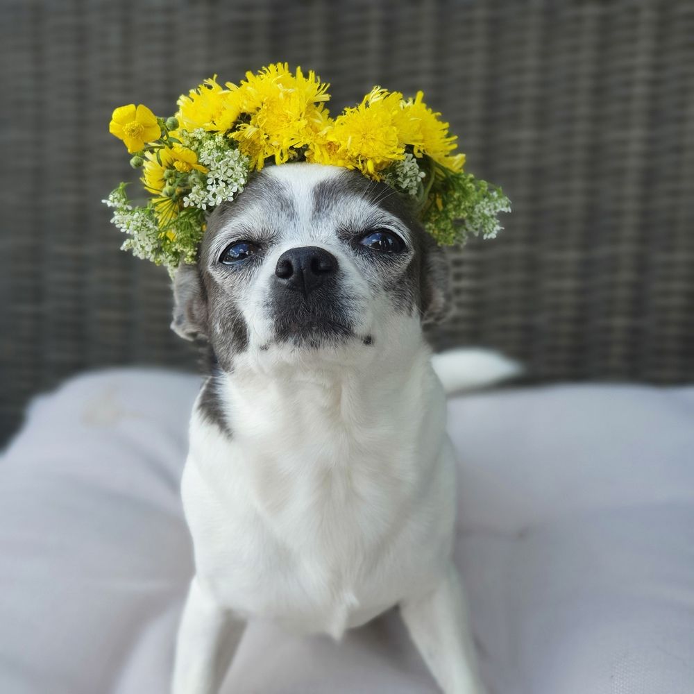 Photograph by Галина Левина