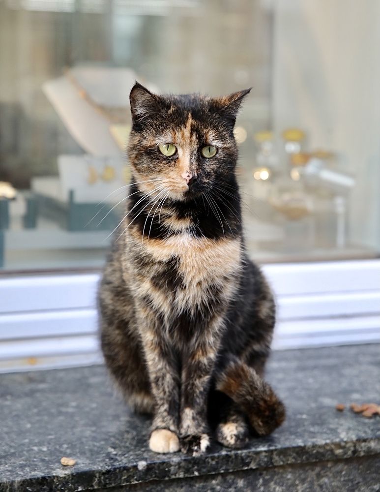 Photograph by Ольга Одаренко