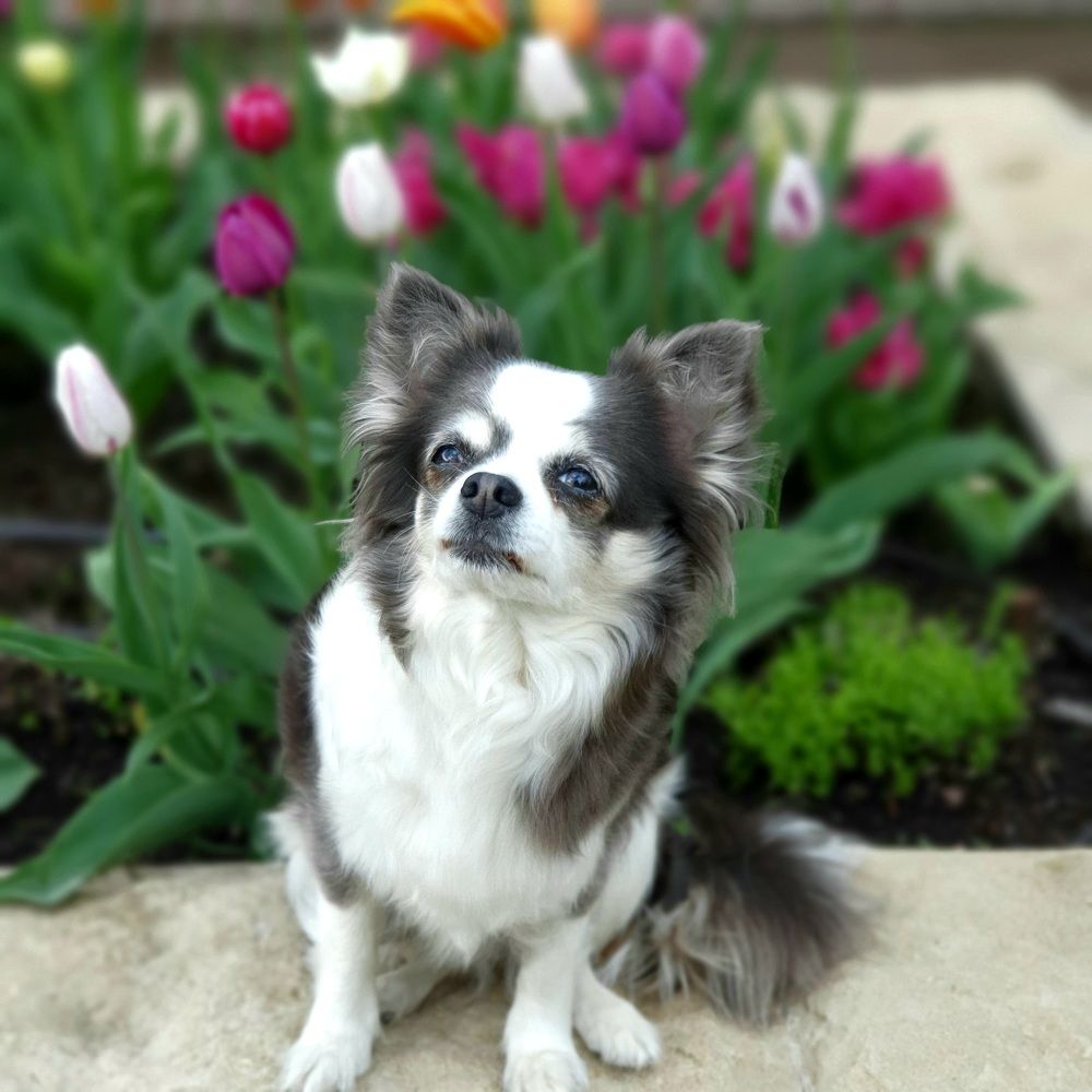 Photograph by Галина Левина