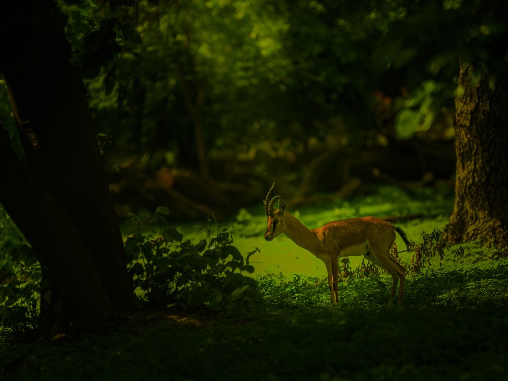 Photograph by Reyaansh Mittal