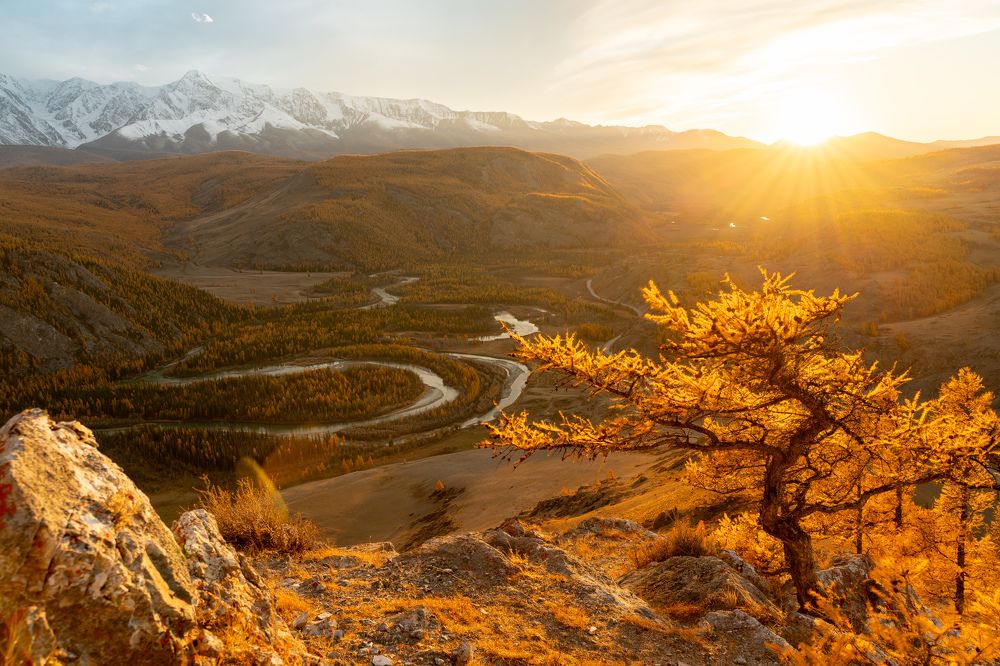 Photograph by Михаил Азаров