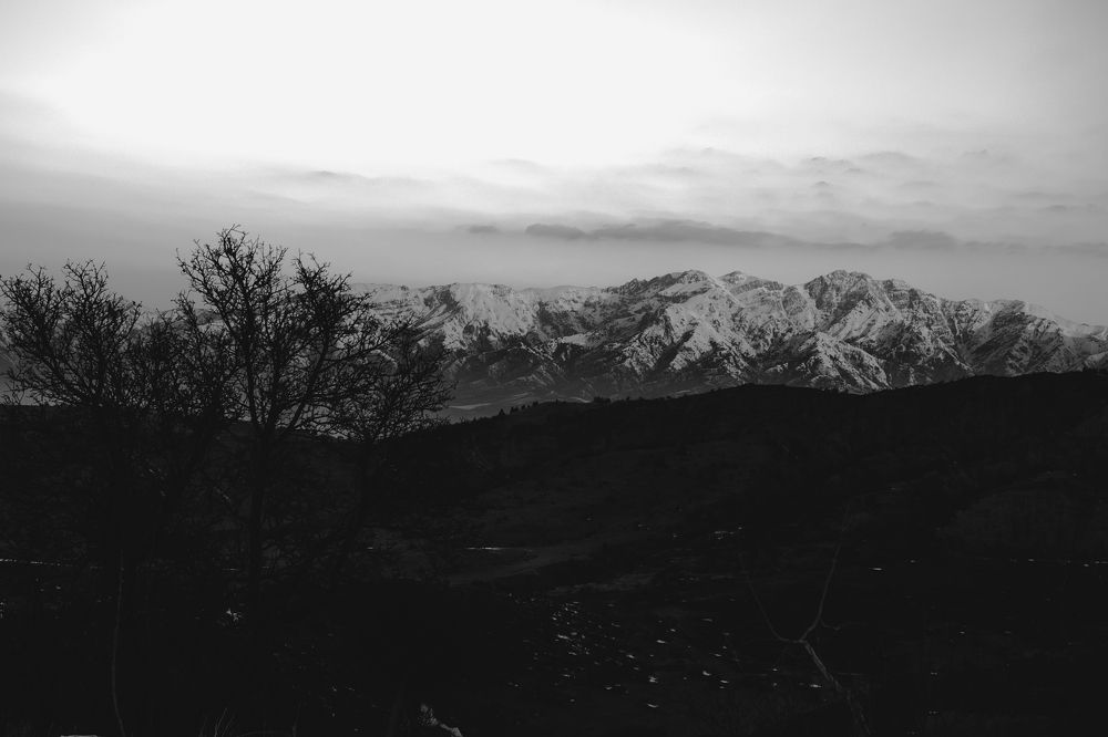 Фотография автора Атабек Заримов