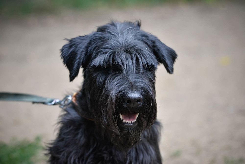 Photograph by Olga Mendosa