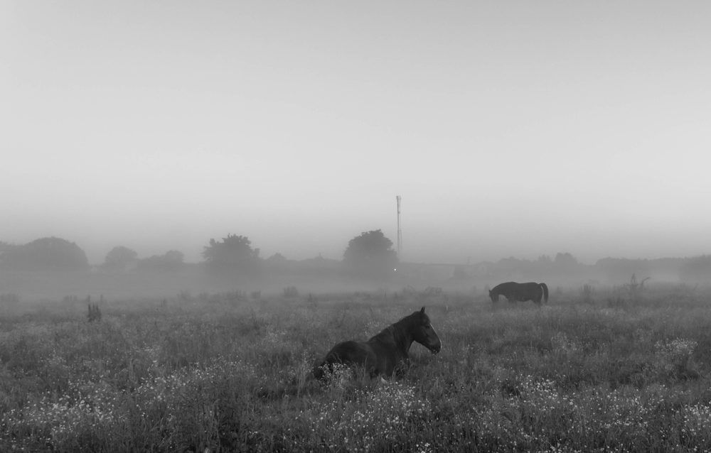 Photograph by Диана Бородзе