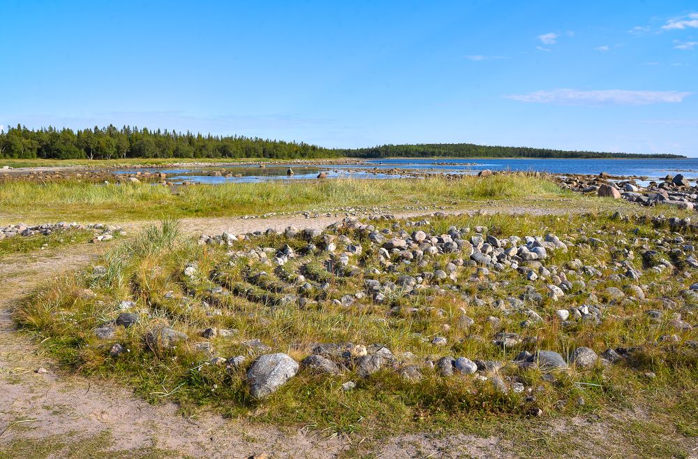 Photograph by Olga Mendosa