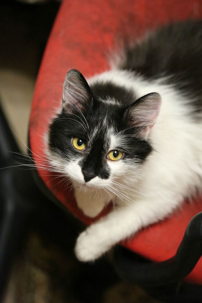 Photograph by София Лаврентьева