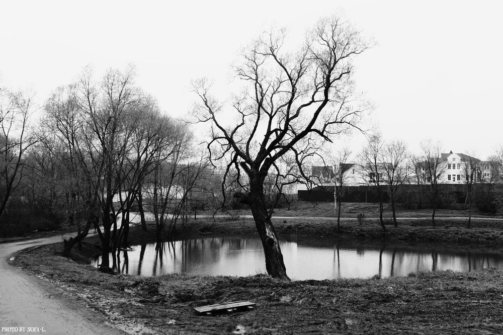 Photograph by София Лаврентьева