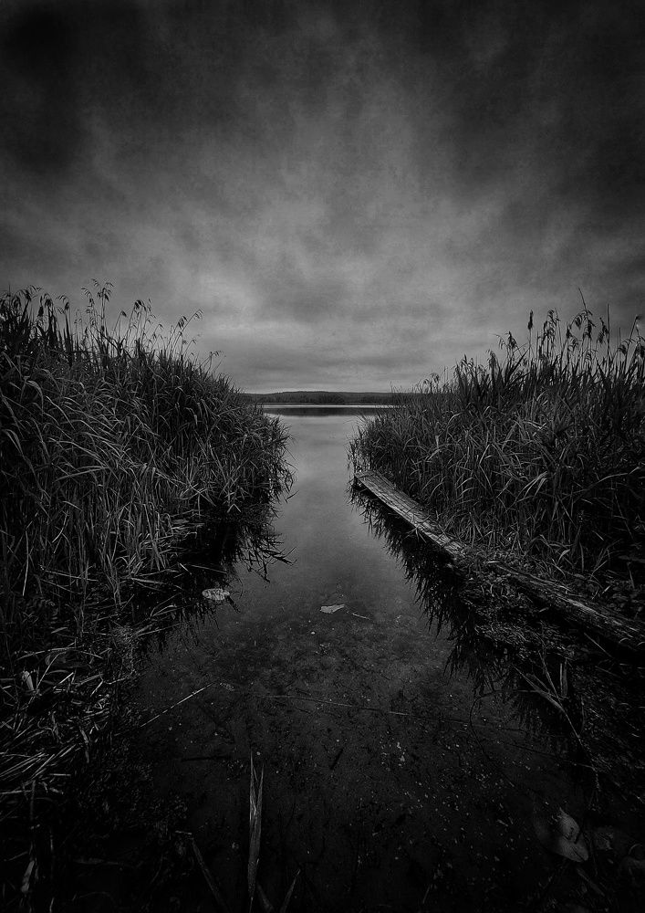 Photograph by Volga Shishko