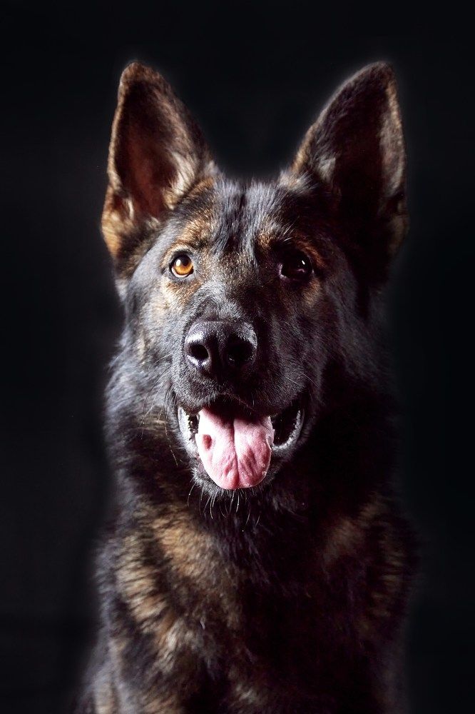 Photograph by Natalya Gracheva