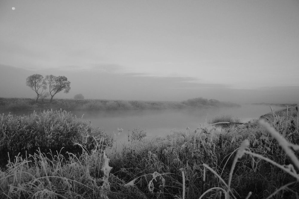 Фотография автора Елена Максимова
