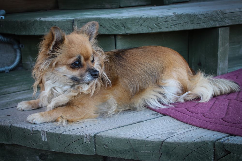 Photograph by Олег Филиппов