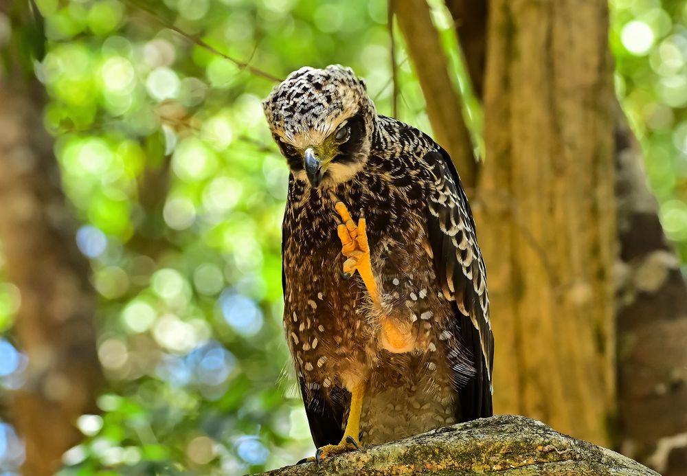 Photograph by nimalan subramaniam