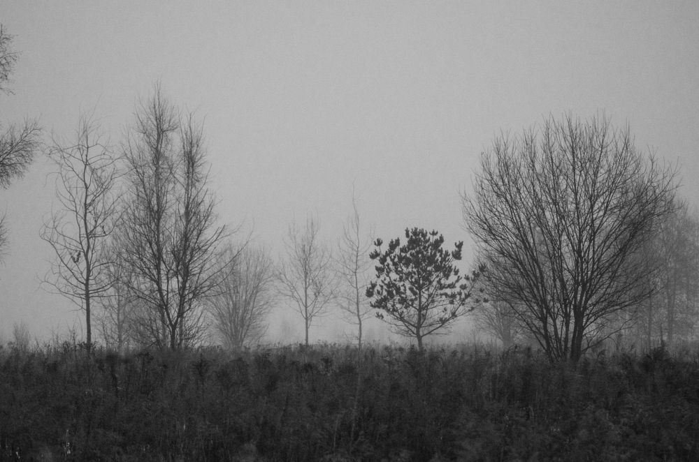 Photograph by Ольга Новикова