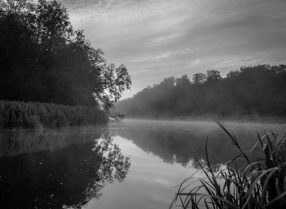 Photograph by Ольга Сафронова