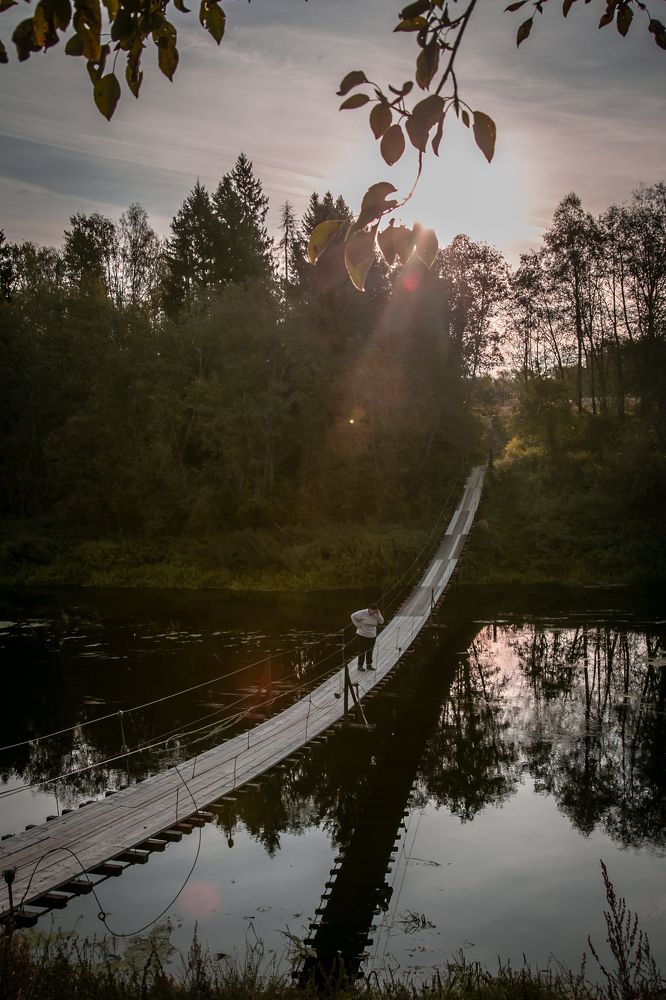 Photograph by Ольга Сафронова