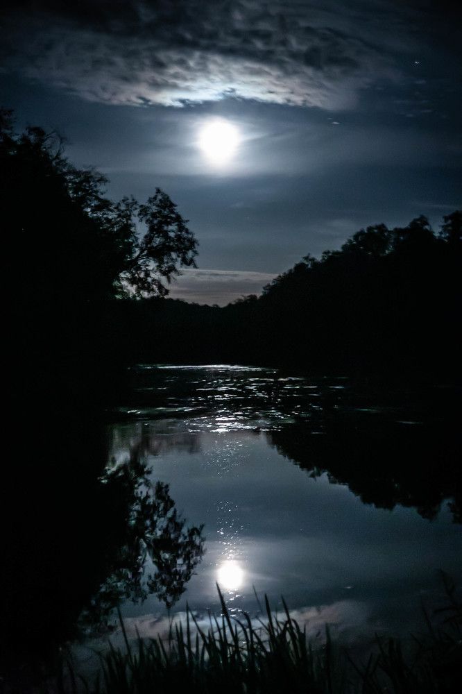 Photograph by Ольга Сафронова