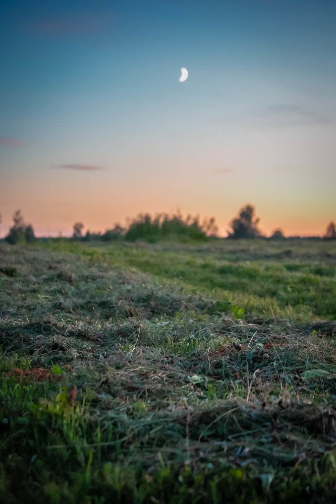 Photograph by Ольга Сафронова