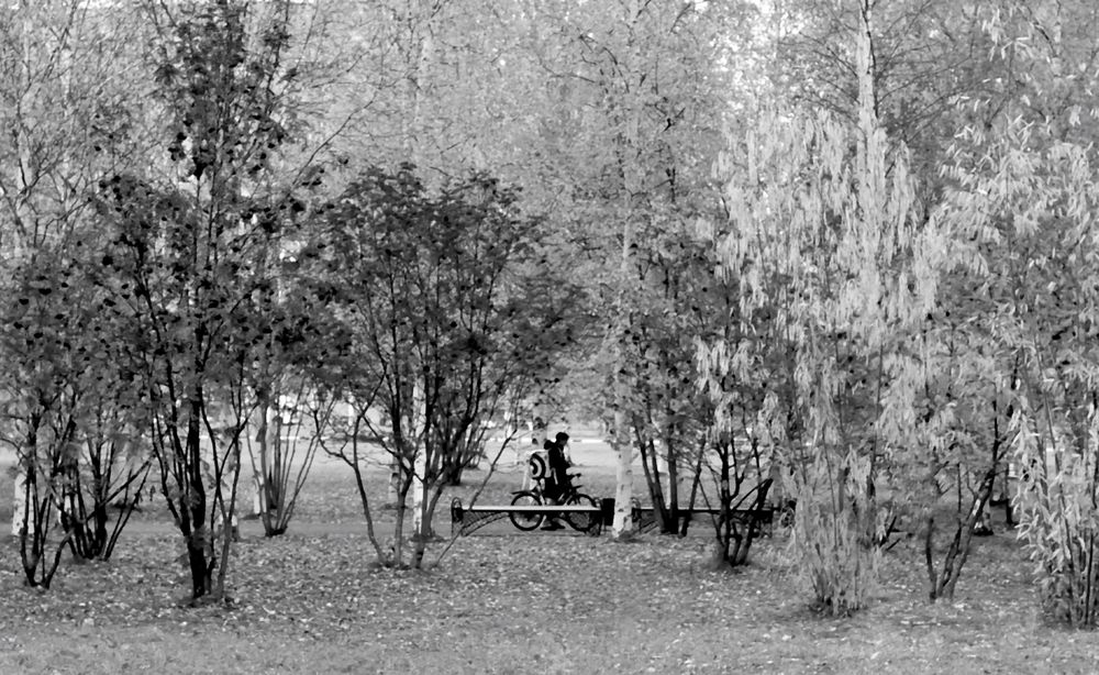 Чёрно-белая осень