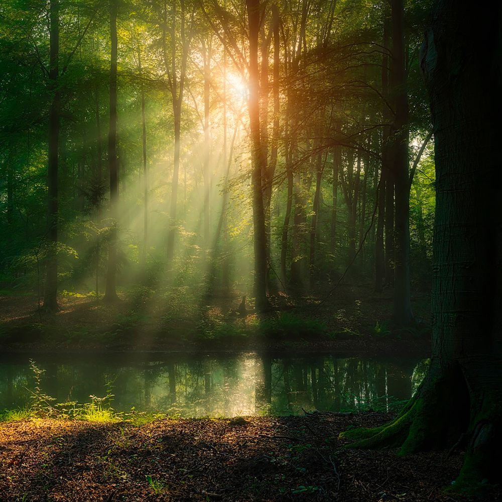 Photograph by Otto Acosta