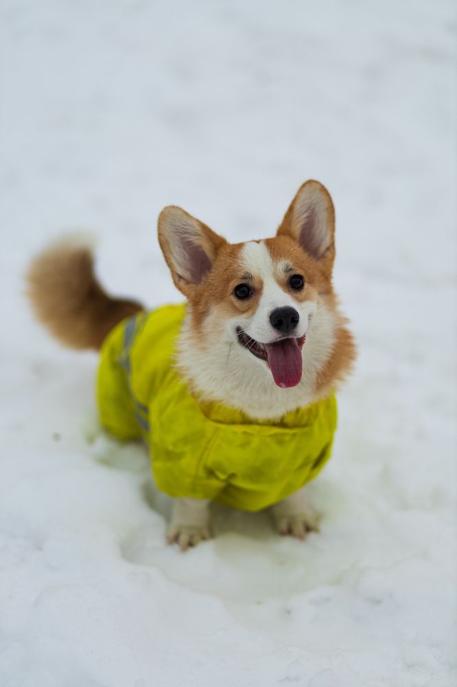 Photograph by Алексей Чеботарев