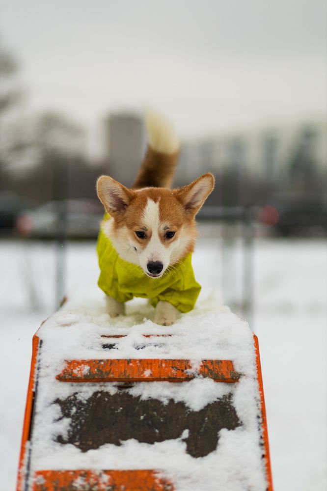 Photograph by Алексей Чеботарев