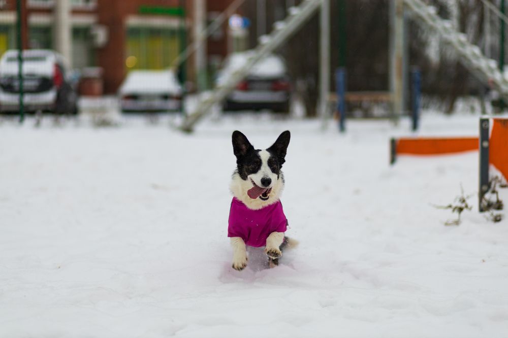 Photograph by Алексей Чеботарев