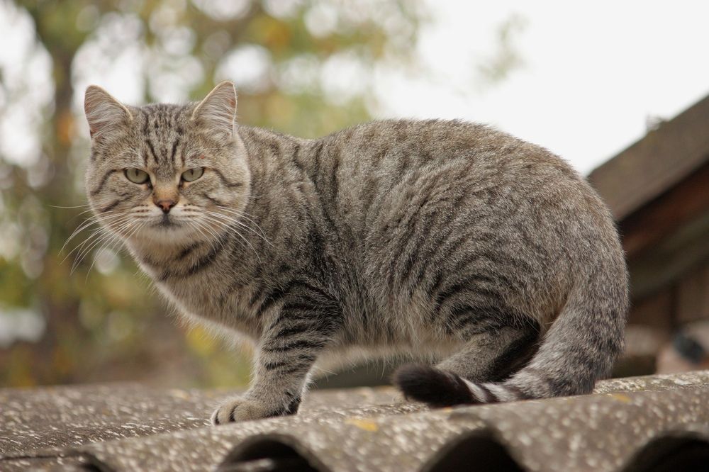 Photograph by Титова Наталья