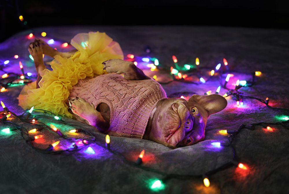 Фотография автора Татьяна Анпилова