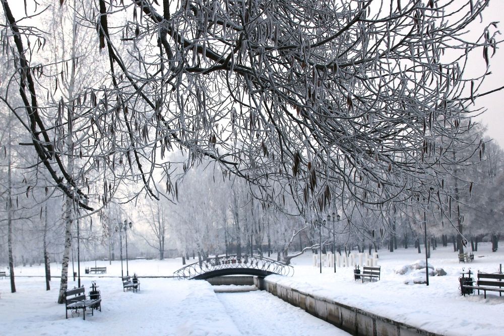 Photograph by Ольга Кочнева