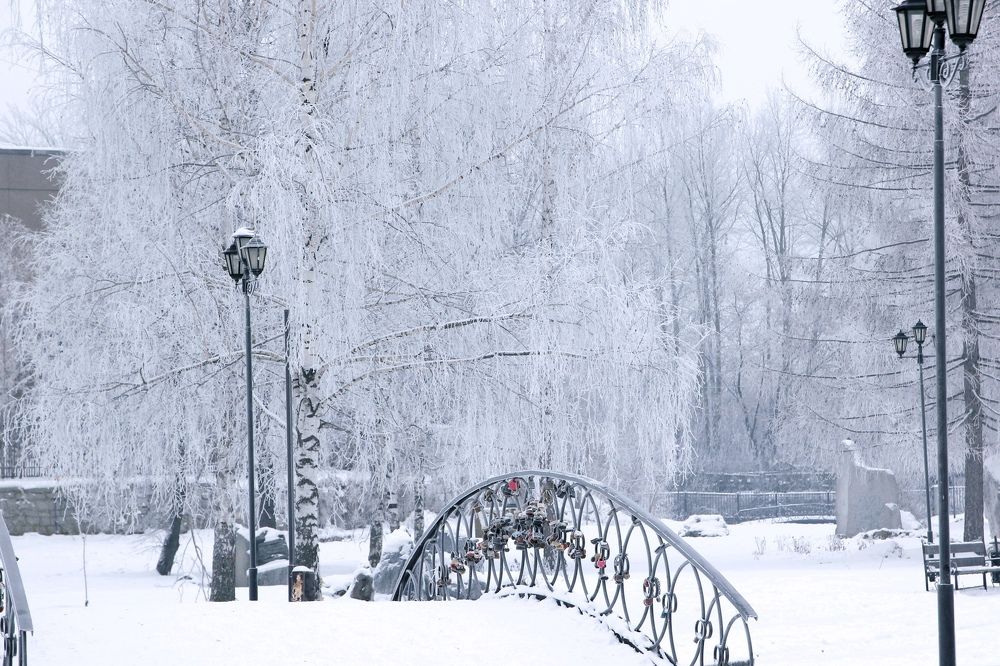 Photograph by Ольга Кочнева