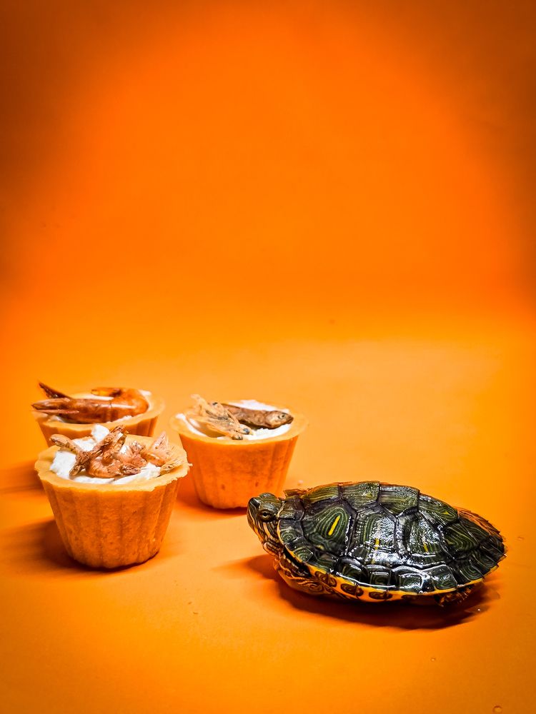 Photograph by Елена Сиушова