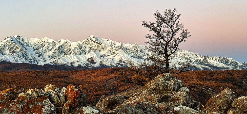 Photograph by Александр Григорьев