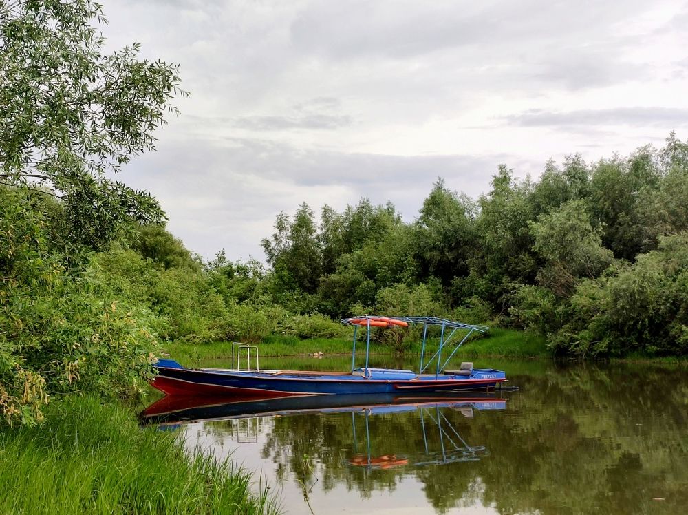 Photograph by Надежда Батракова