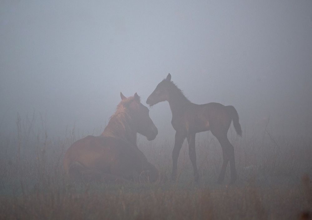 Photograph by Сергей Басов